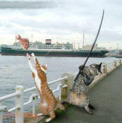 chof_weskot   omad9ola 7eta nwa7id awla.................